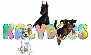 Kalydogs Villemeux-sur-Eure, Commerçant