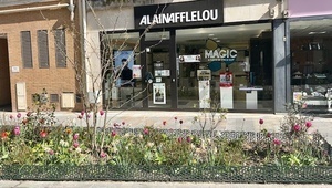 Alain Afflelou Clamart, Commerçant