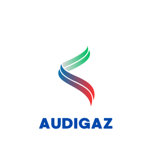 AUDIGAZ Paris 9, Commerçant