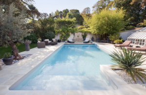 Maxime MICHEL La Clotte, Commerçant