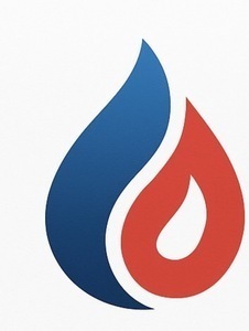 Ent Gayet Ollainville, Commerçant