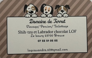 Cassandra Lagorsse Brousse, Commerçant